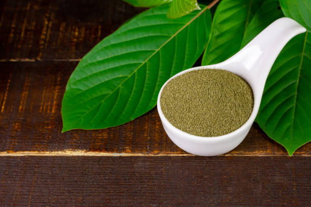 Kratom Near Me Evaluating Quality and Authenticity